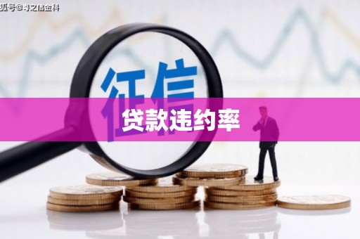 双桥贷款违约率