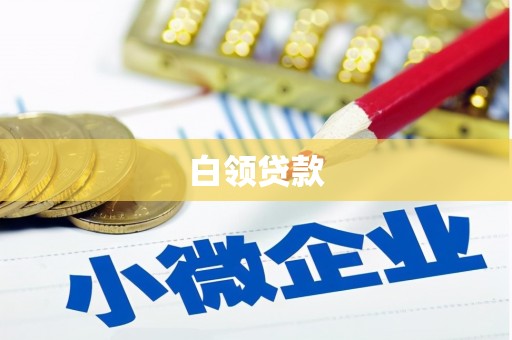 双桥白领贷款