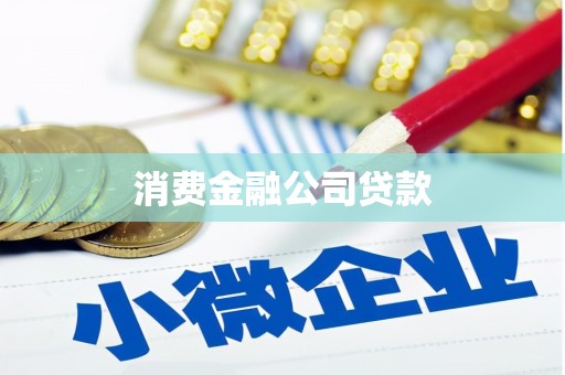 双桥消费金融公司贷款