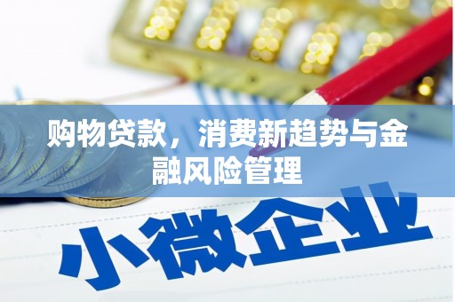双桥购物贷款，消费新趋势与金融风险管理