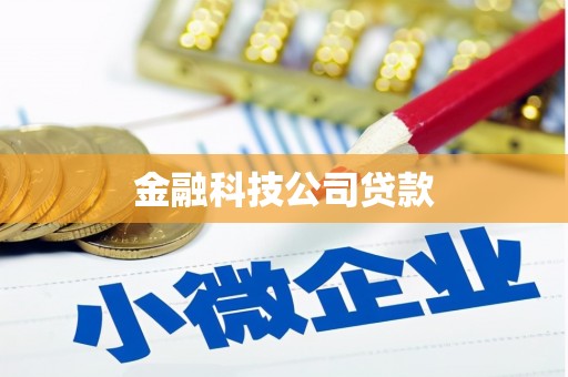 双桥金融科技公司贷款