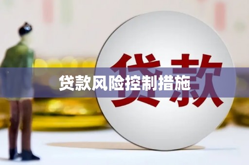 双桥贷款风险控制措施