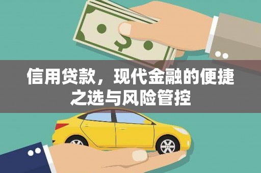 双桥信用贷款，现代金融的便捷之选与风险管控