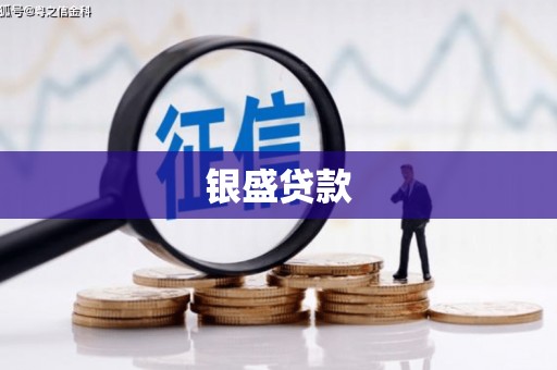双桥银盛贷款