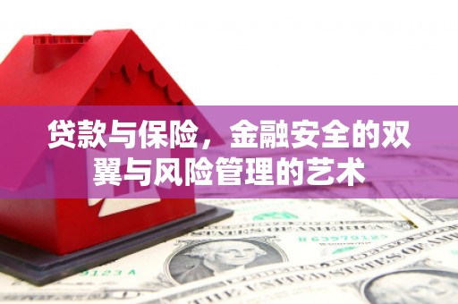 双桥贷款与保险，金融安全的双翼与风险管理的艺术