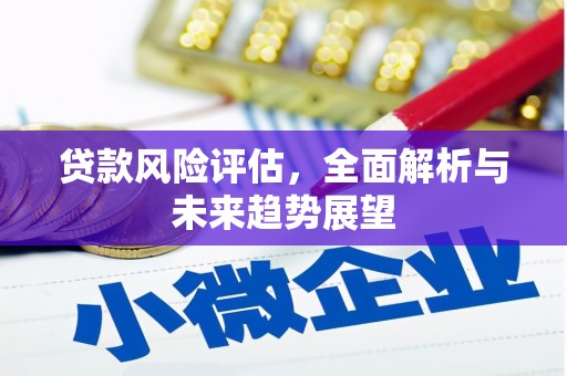 双桥贷款风险评估，全面解析与未来趋势展望