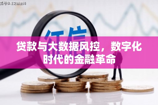 双桥贷款与大数据风控，数字化时代的金融革命