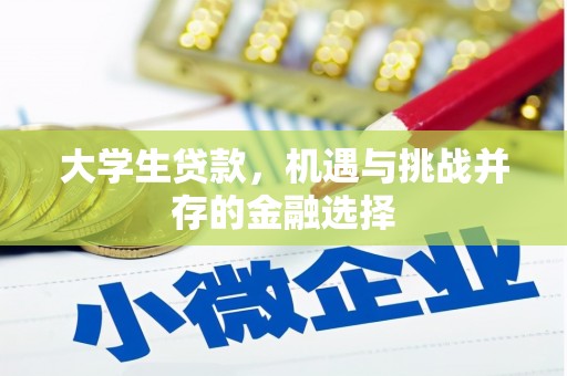 双桥大学生贷款，机遇与挑战并存的金融选择