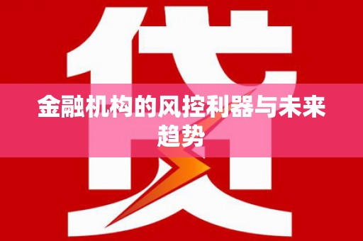 双桥金融机构的风控利器与未来趋势