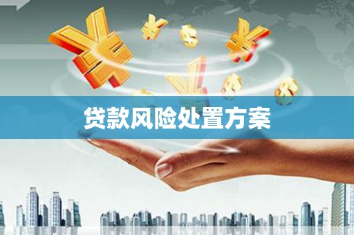 双桥贷款风险处置方案