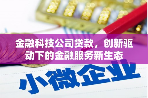 双桥金融科技公司贷款，创新驱动下的金融服务新生态