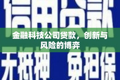 双桥金融科技公司贷款，创新与风险的博弈