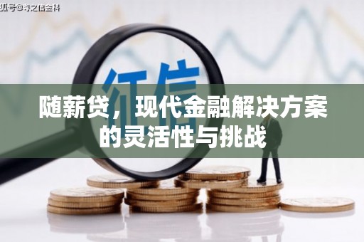 双桥随薪贷，现代金融解决方案的灵活性与挑战