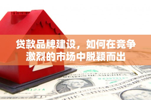 双桥贷款品牌建设，如何在竞争激烈的市场中脱颖而出
