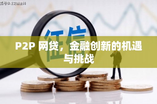 双桥P2P 网贷，金融创新的机遇与挑战