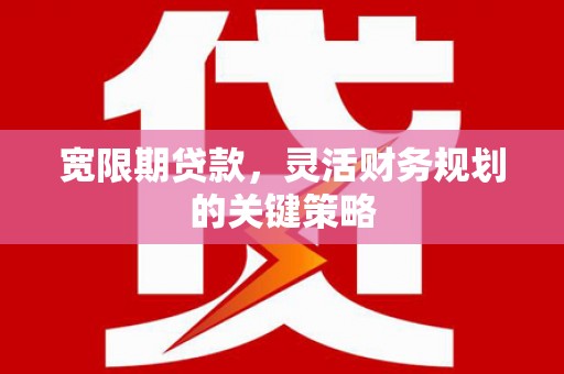 双桥宽限期贷款，灵活财务规划的关键策略