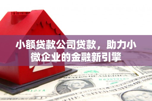 双桥小额贷款公司贷款，助力小微企业的金融新引擎