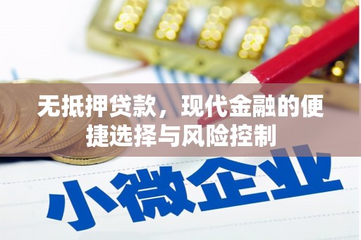 双桥无抵押贷款，现代金融的便捷选择与风险控制