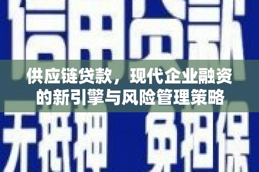 双桥供应链贷款，现代企业融资的新引擎与风险管理策略