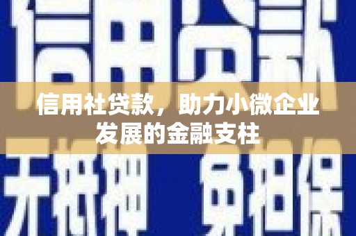 双桥信用社贷款，助力小微企业发展的金融支柱