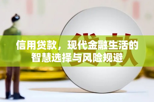 双桥信用贷款，现代金融生活的智慧选择与风险规避