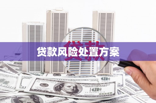 双桥贷款风险处置方案