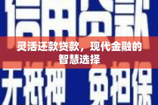 双桥灵活还款贷款，现代金融的智慧选择