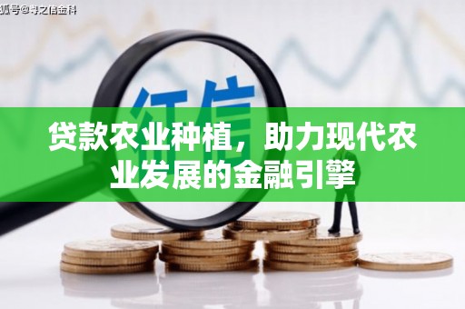 双桥贷款农业种植，助力现代农业发展的金融引擎