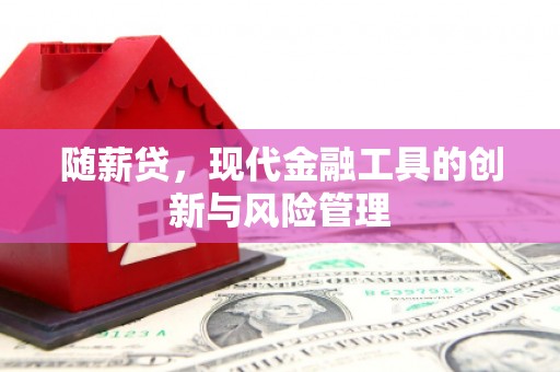 双桥随薪贷，现代金融工具的创新与风险管理