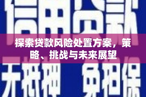 双桥探索贷款风险处置方案，策略、挑战与未来展望