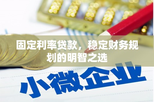 双桥固定利率贷款，稳定财务规划的明智之选