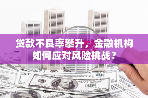 双桥贷款不良率攀升，金融机构如何应对风险挑战？