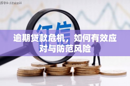 双桥逾期贷款危机，如何有效应对与防范风险