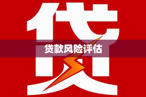 双桥贷款风险评估