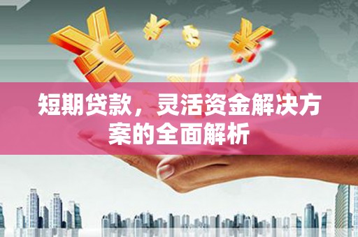 双桥短期贷款，灵活资金解决方案的全面解析