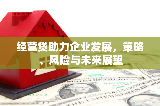 双桥经营贷助力企业发展，策略、风险与未来展望