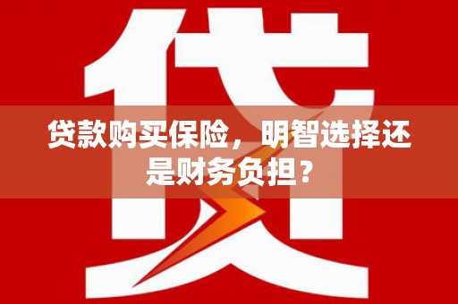 双桥贷款购买保险，明智选择还是财务负担？