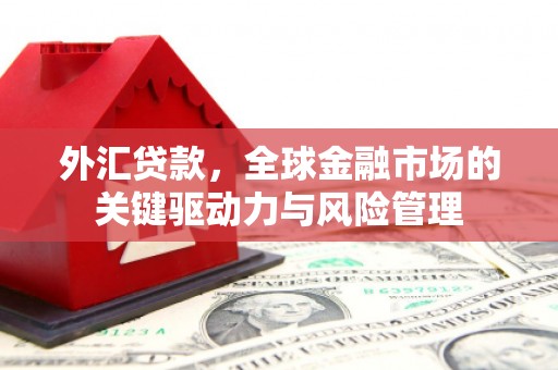 双桥外汇贷款，全球金融市场的关键驱动力与风险管理