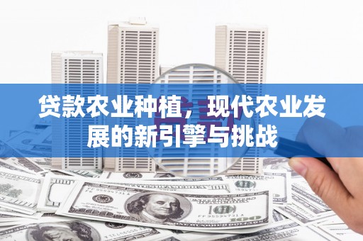 双桥贷款农业种植，现代农业发展的新引擎与挑战