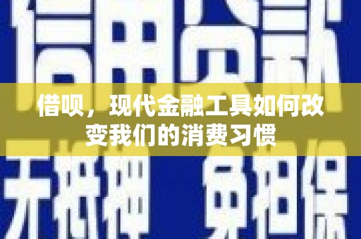 双桥借呗，现代金融工具如何改变我们的消费习惯