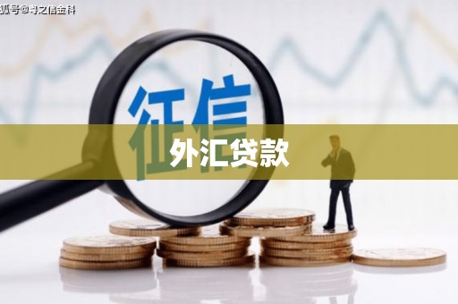 双桥外汇贷款