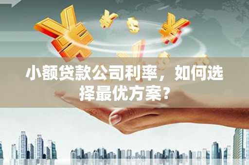双桥小额贷款公司利率，如何选择最优方案？