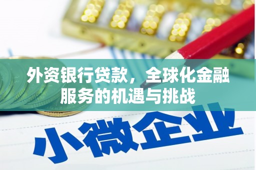 双桥外资银行贷款，全球化金融服务的机遇与挑战