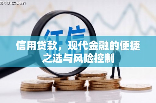 双桥信用贷款，现代金融的便捷之选与风险控制