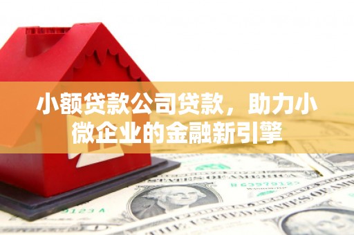 双桥小额贷款公司贷款，助力小微企业的金融新引擎