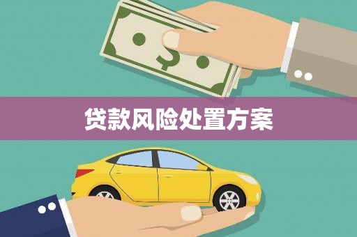 双桥贷款风险处置方案