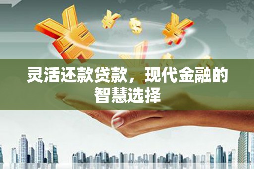 双桥灵活还款贷款，现代金融的智慧选择