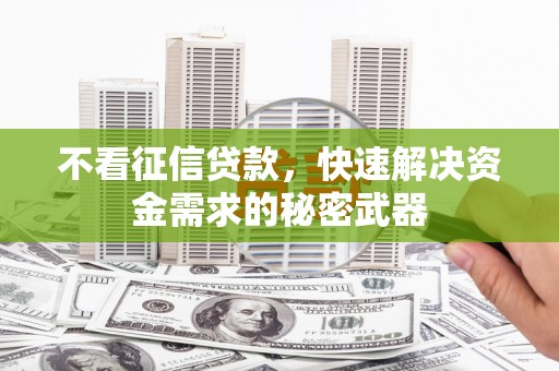 双桥不看征信贷款，快速解决资金需求的秘密武器