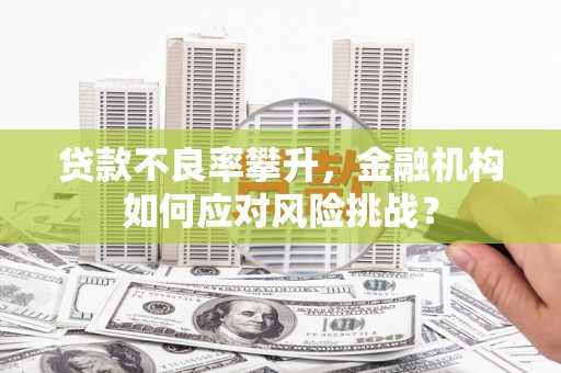 双桥贷款不良率攀升，金融机构如何应对风险挑战？