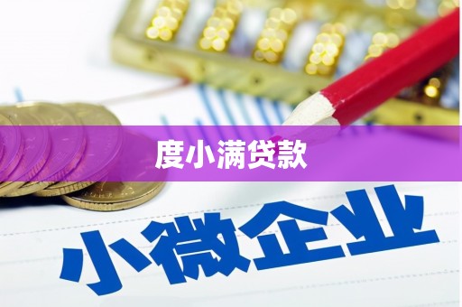 双桥度小满贷款